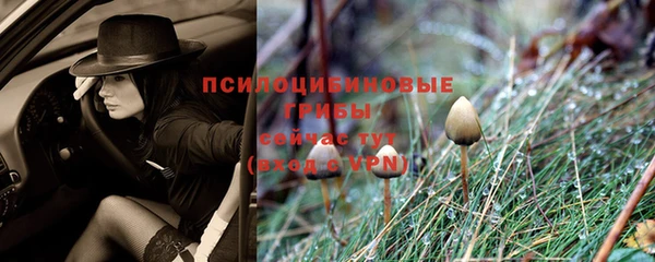 ALPHA-PVP Абинск