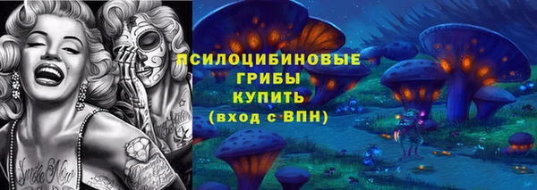 герыч Протвино